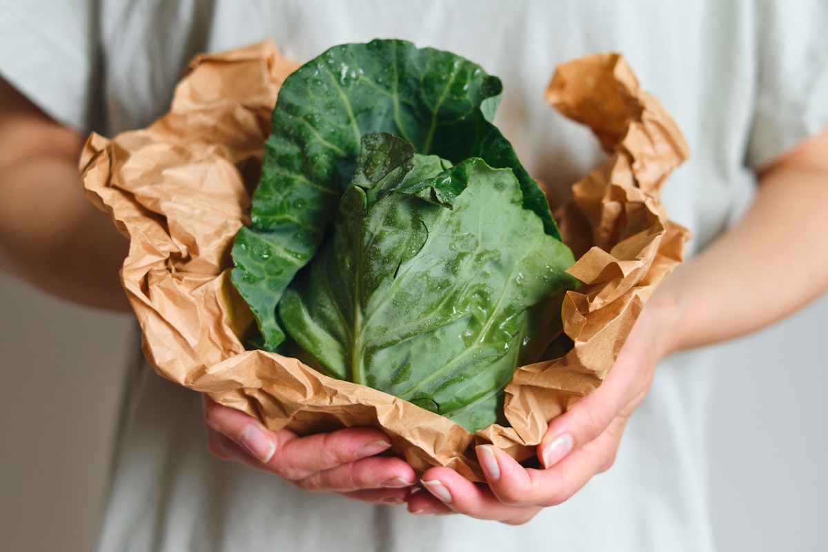 Consulență nutrițională profesională