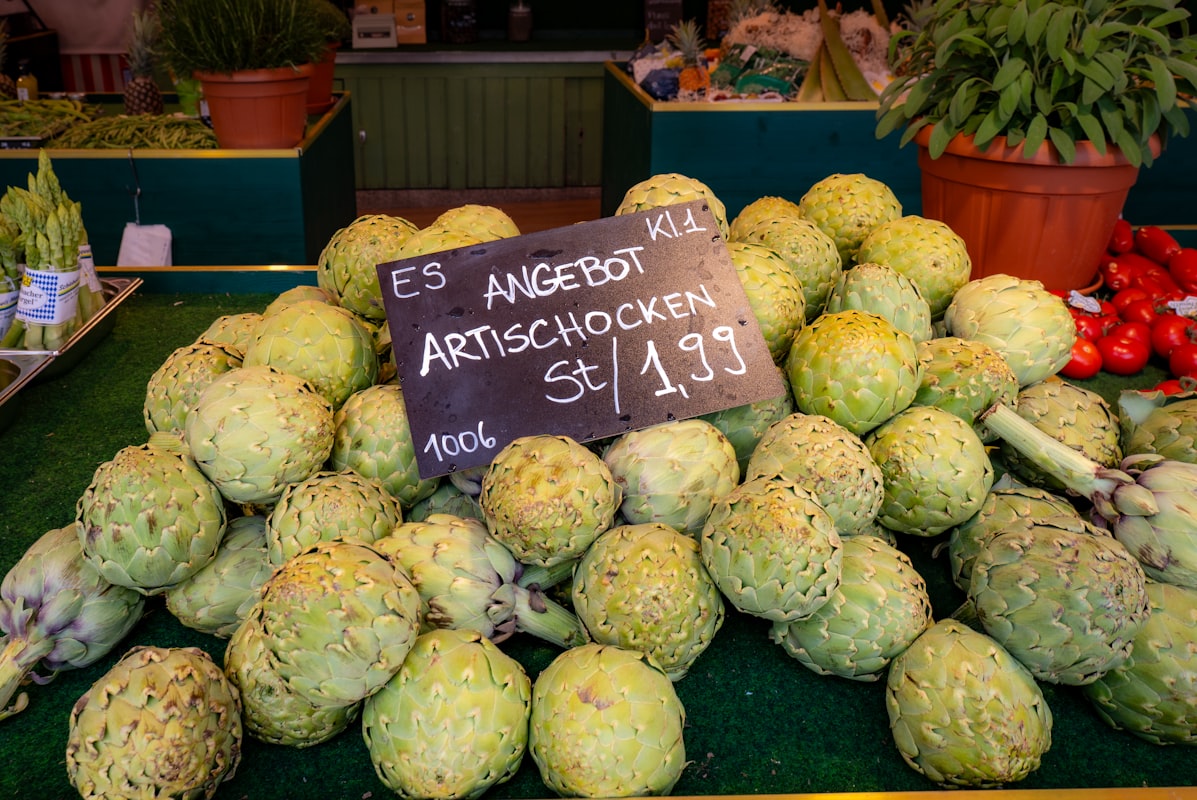 Dieta Plant-Based